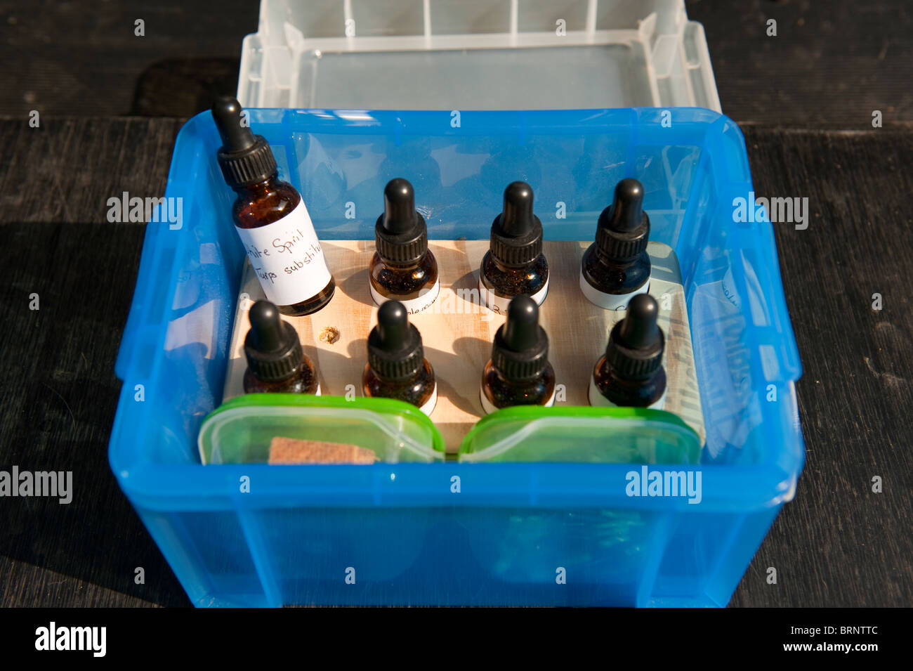 Flammable accelerant bottles to train sniffer dogs Stock Photo Alamy