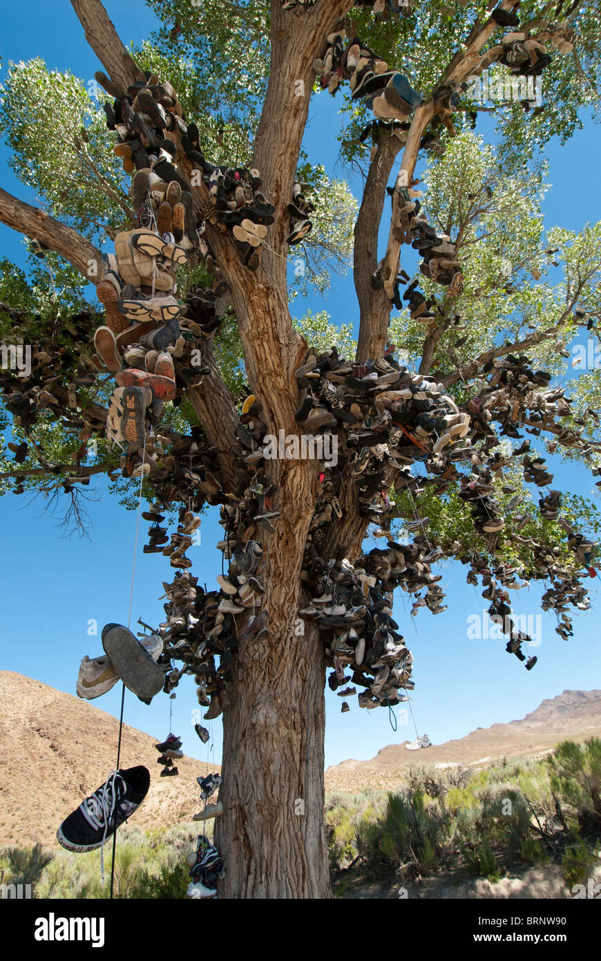 Roadside shoe tree, Churchill County miilepost 70, U.S. Highway 50