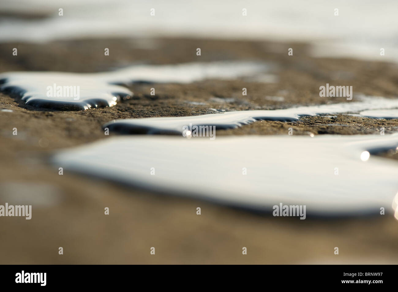 Surface tension is a property of the surface of a liquid (on this image