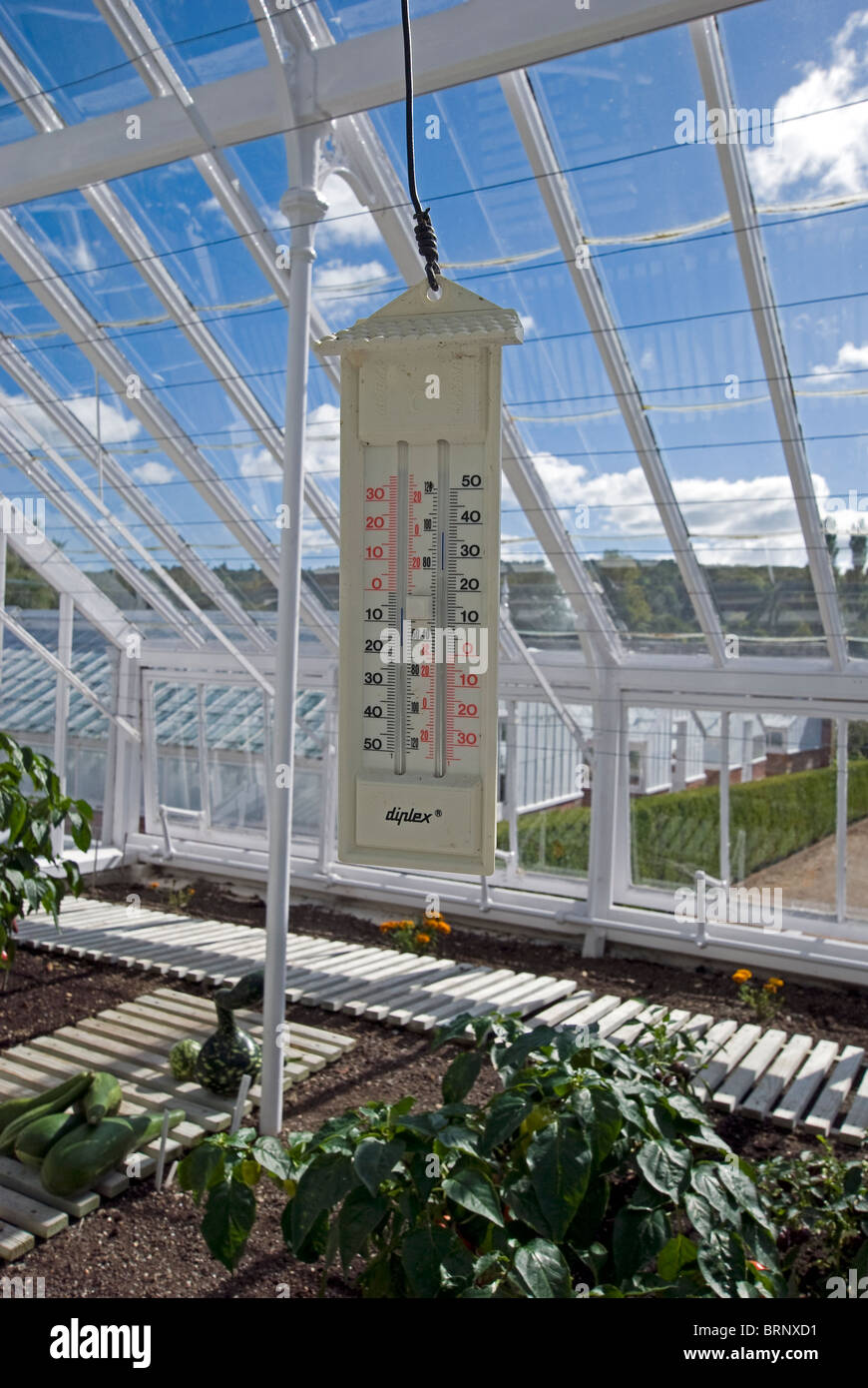 https://c8.alamy.com/comp/BRNXD1/greenhouse-thermometer-BRNXD1.jpg