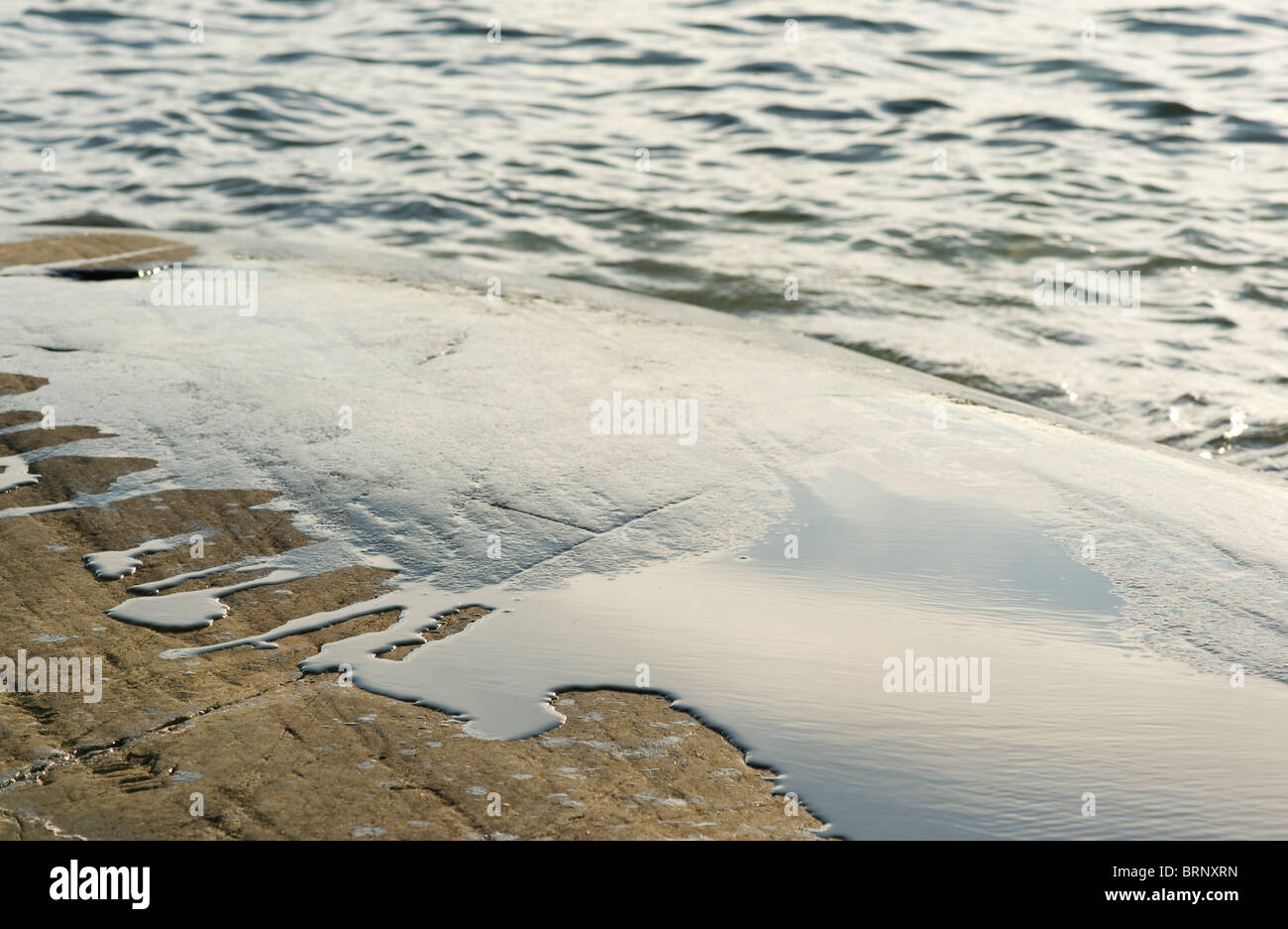 Surface tension is a property of the surface of a liquid (on this image