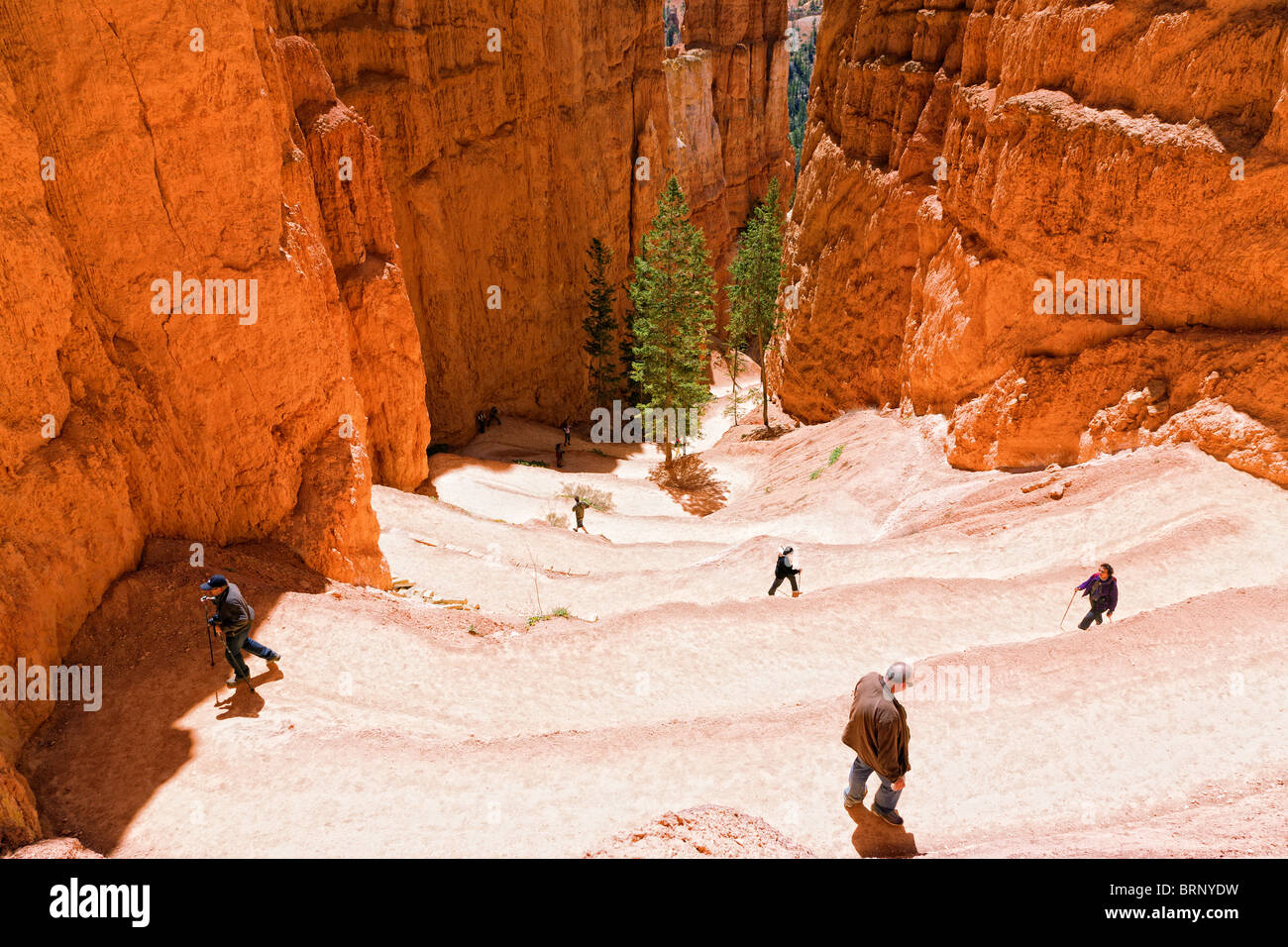 Switchback hiking trail in Bryce Canyon Stock Photo