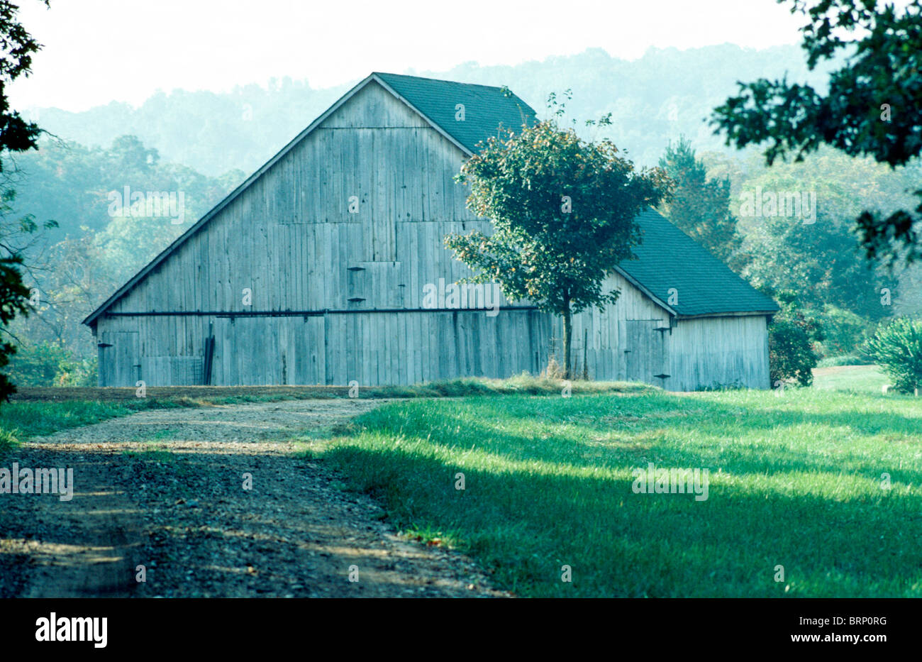 Rural hillside wooden barn sits on green meadow high among rolling
