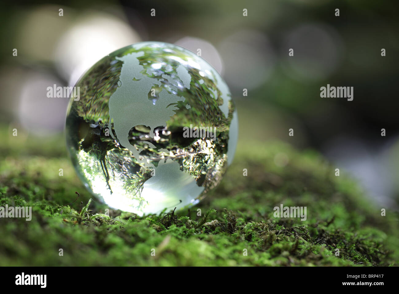 Globe in the forest Stock Photo