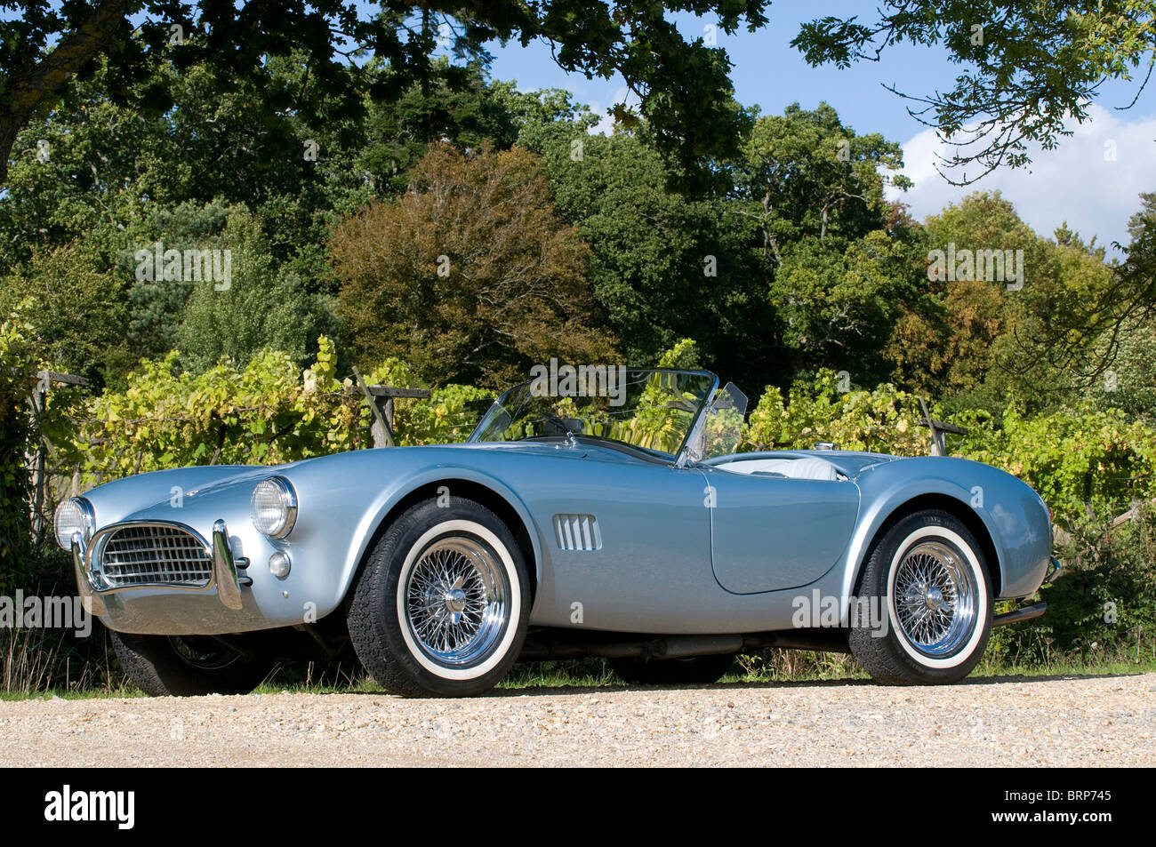 1964 AC Cobra Mk II 289 Stock Photo