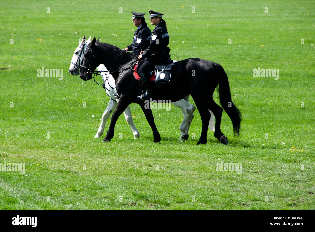 police on horses Stock Photo
