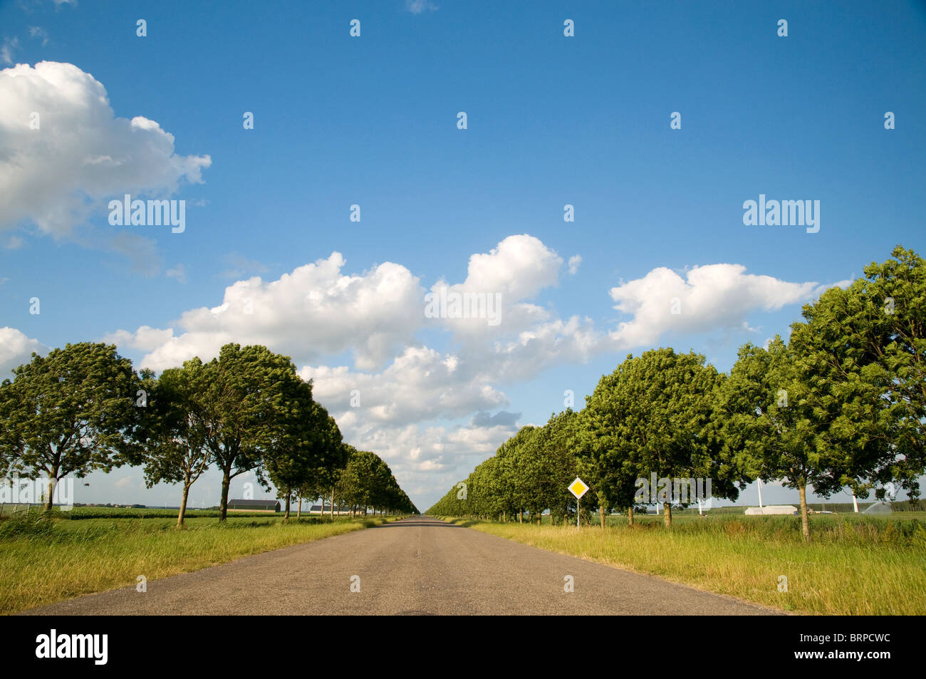 Empty Treet empty street in landscape Stock Photo - Alamy