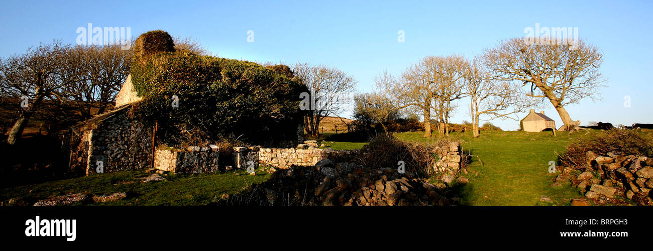 The Ruins of Cathan Farm, Hardings Down, Gower Peninsula Swansea Wales Stock Photo