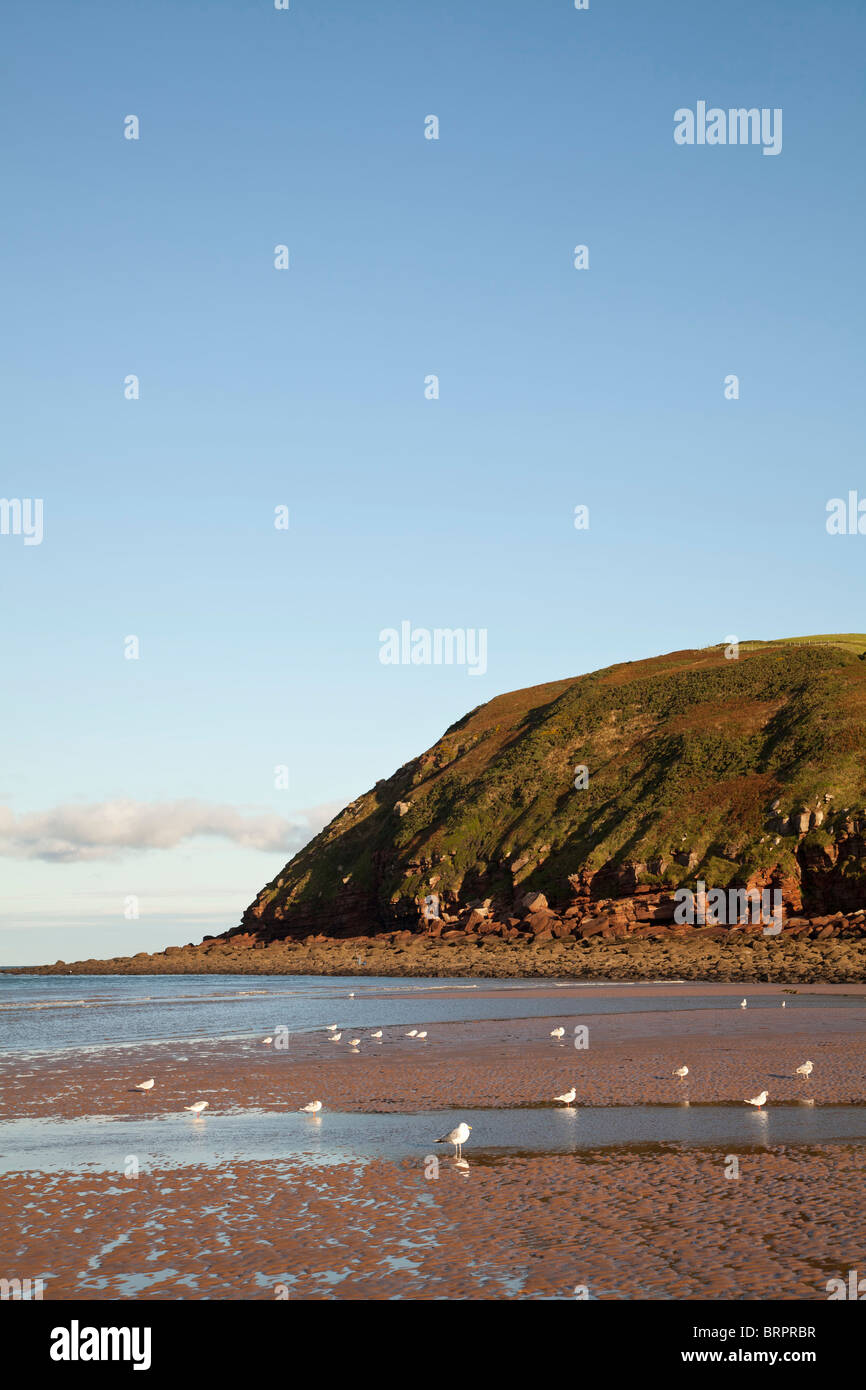 St Bees bay, Cumbria Stock Photo Alamy