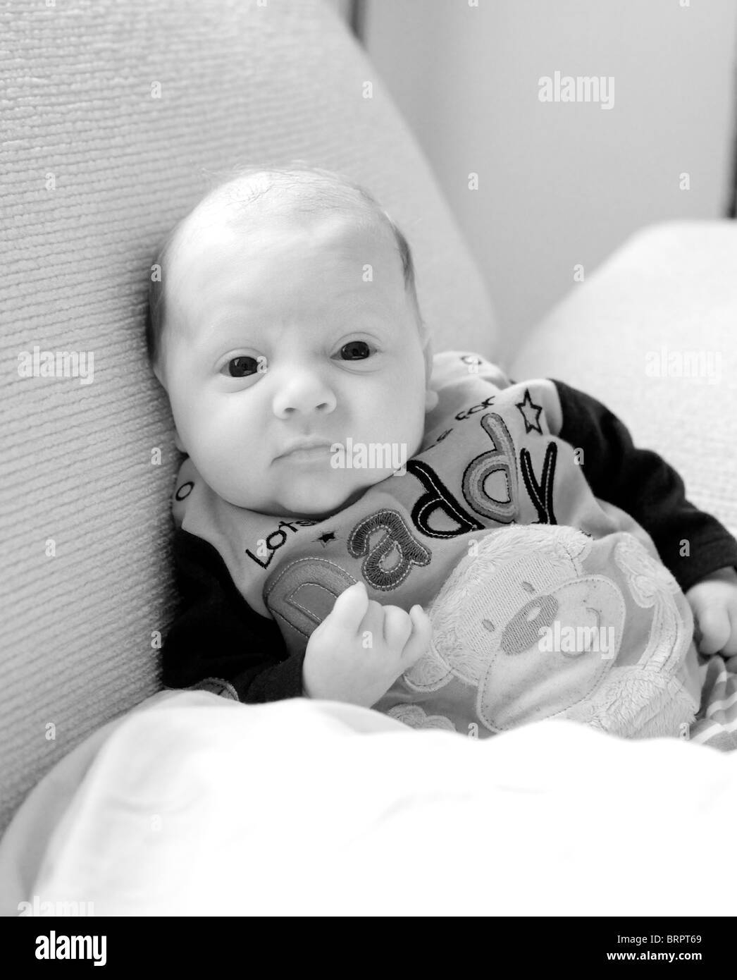 adorable baby boy Stock Photo Alamy