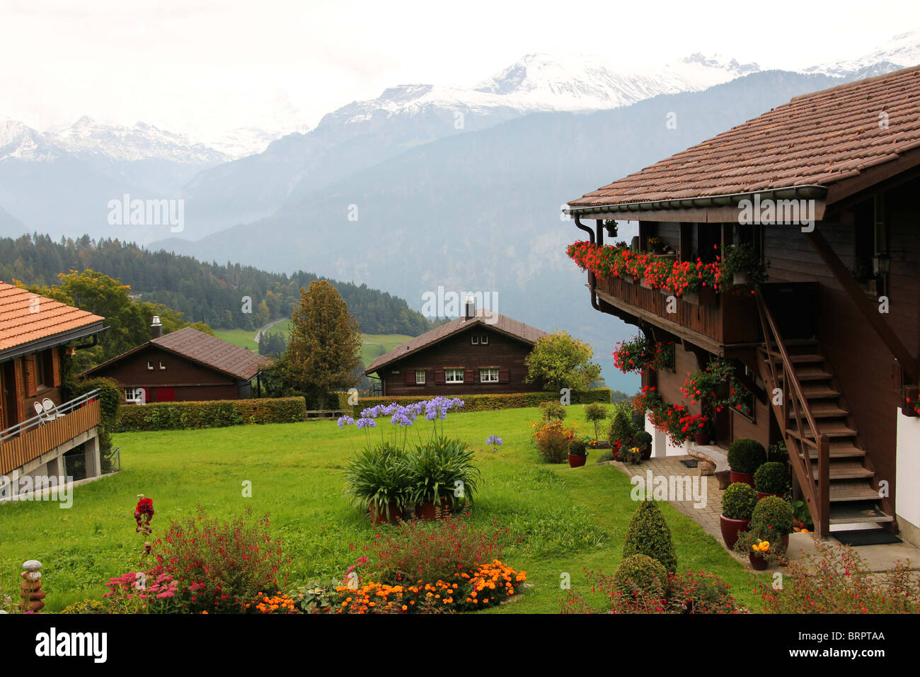 Swiss houses in Beatenberg Bernese Oberland Switzerland with view in Swiss Alps and lakes Stock Photo
