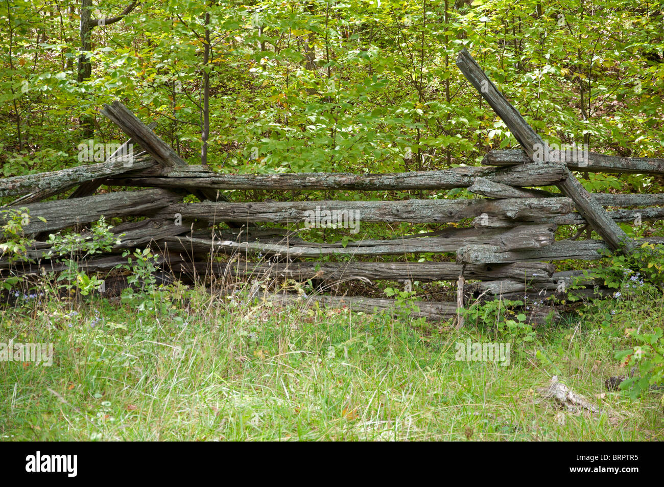 Split rail fence on Manitoulin Island Stock Photo