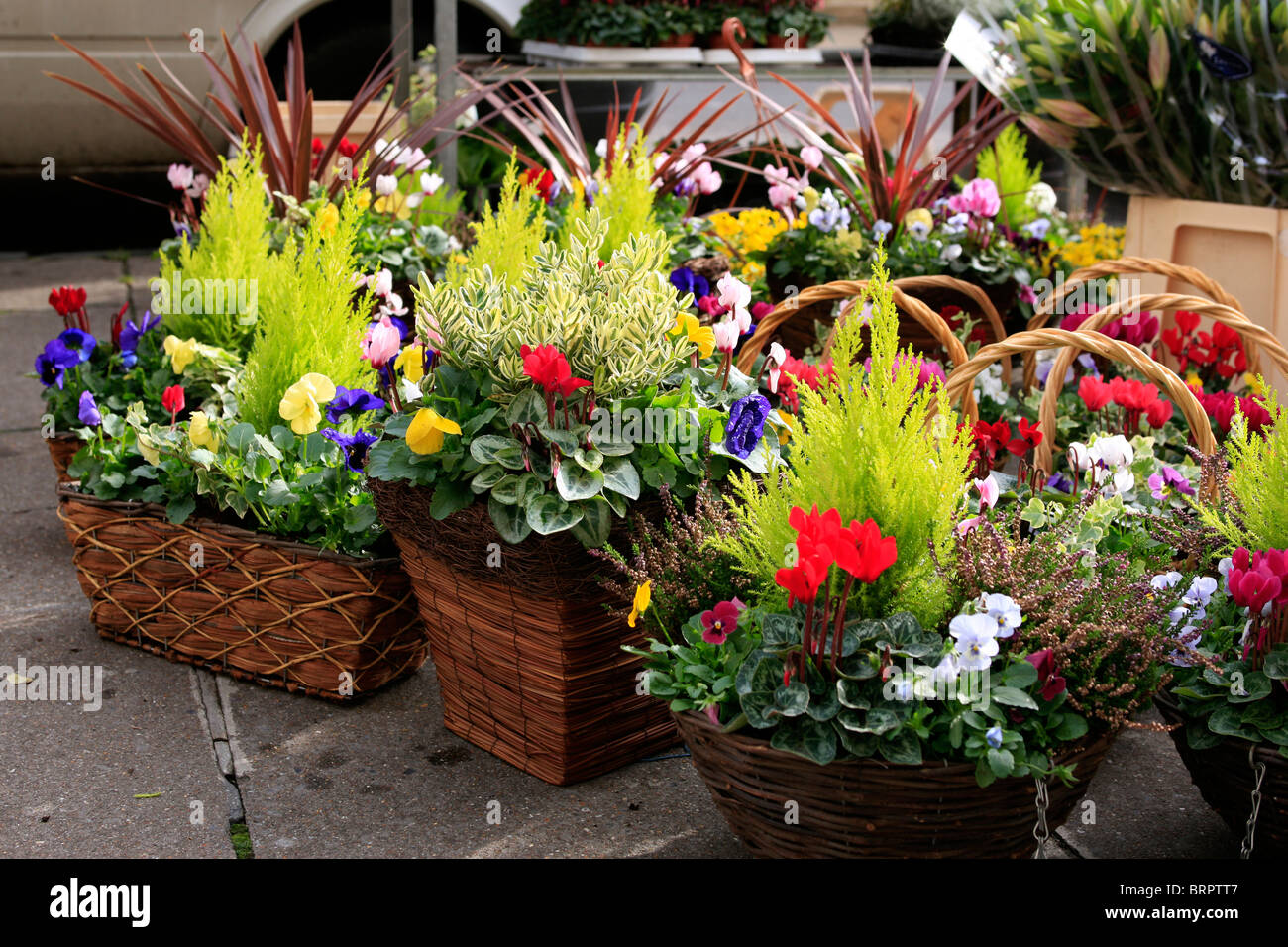 Basket of flowers for sale on a street market stall Stock Photo - Alamy