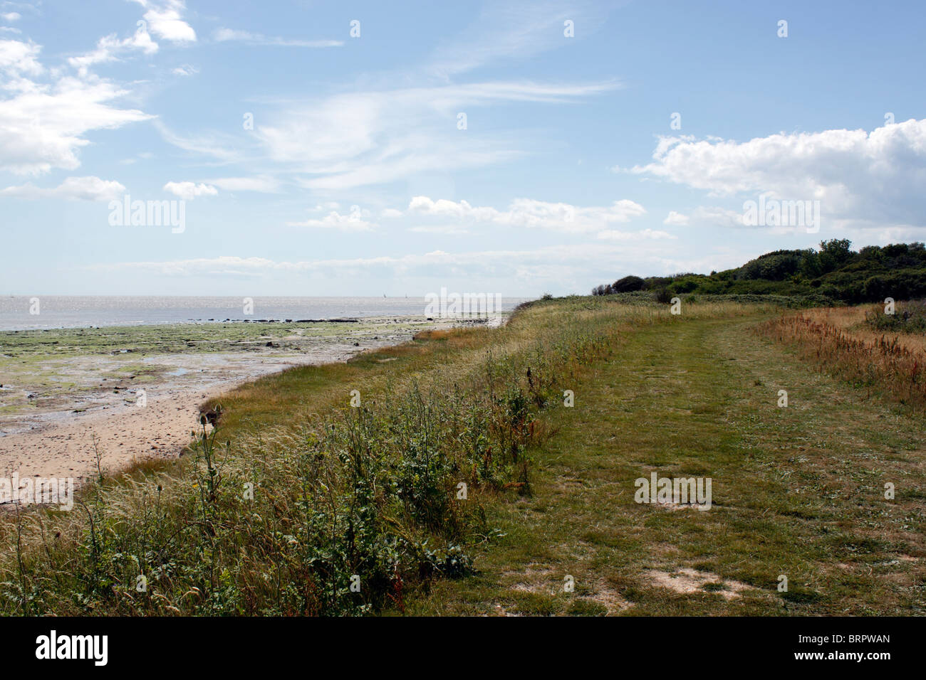 THE NAZE AT WALTON-ON-THE-NAZE IN THE COUNTY OF ESSEX UK. Stock Photo