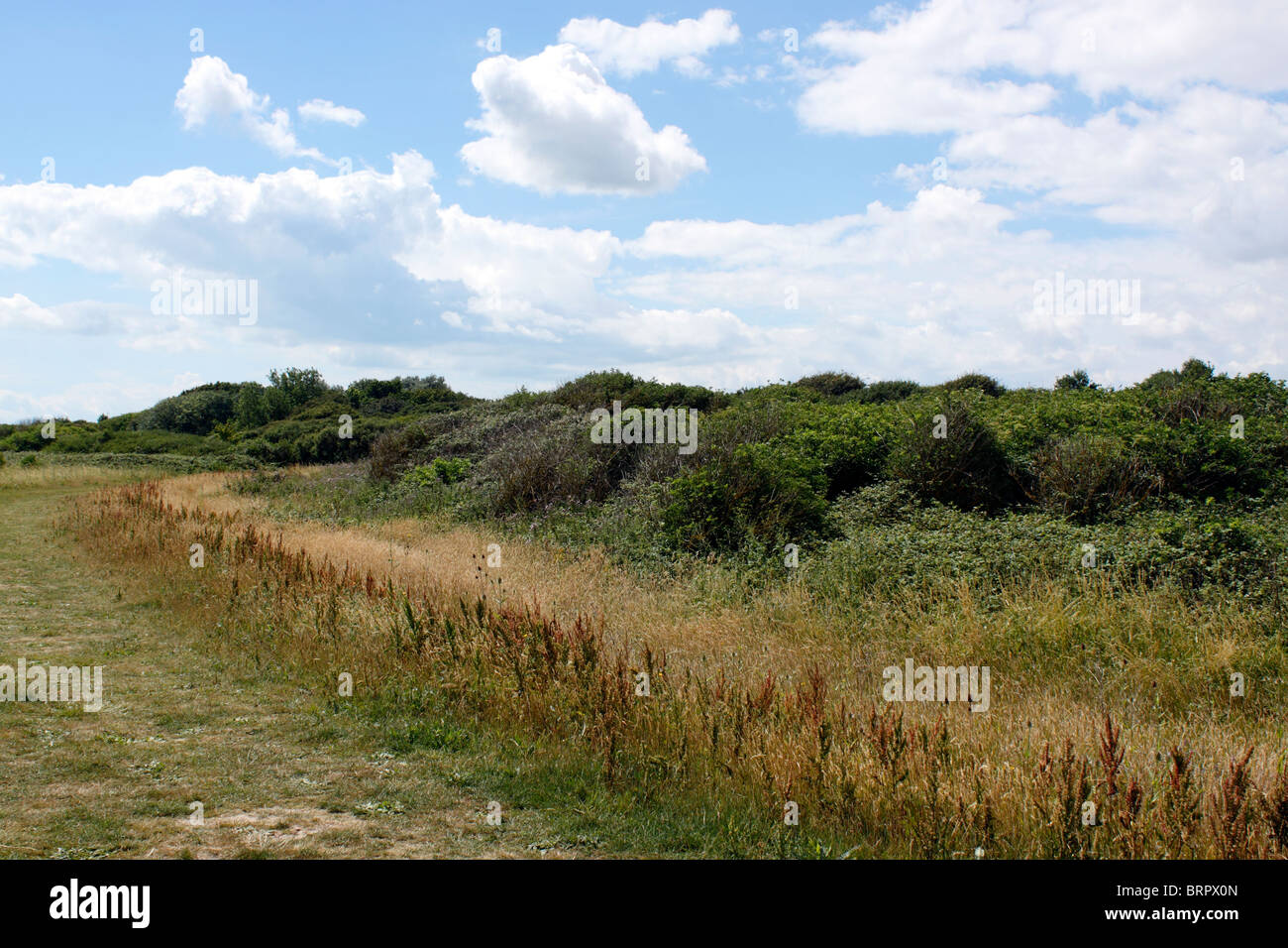 THE NAZE AT WALTON-ON-THE-NAZE IN THE COUNTY OF ESSEX. UK. Stock Photo