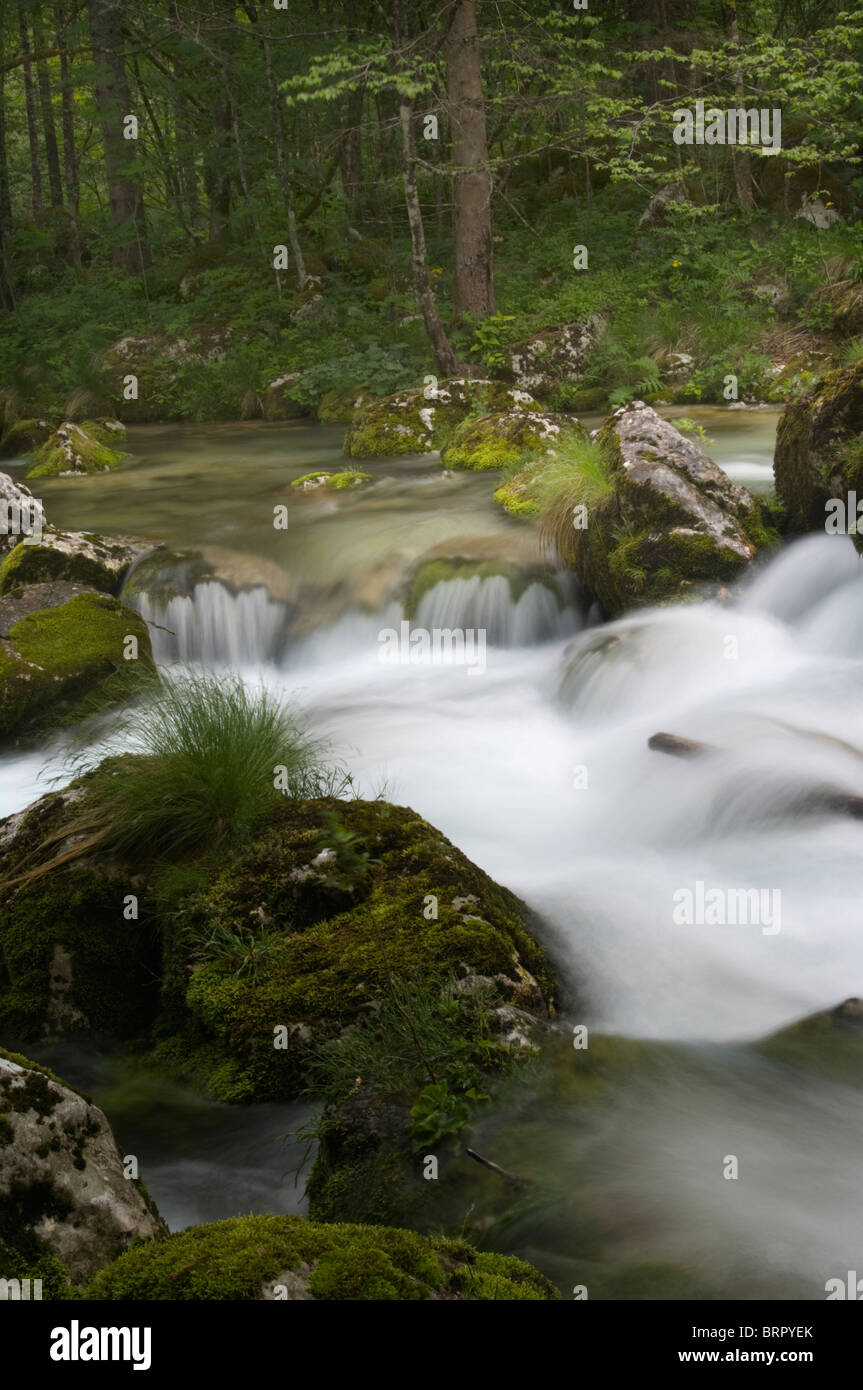 Wild Water Lapenna River Triglav National Park Slovenia Stock Photo
