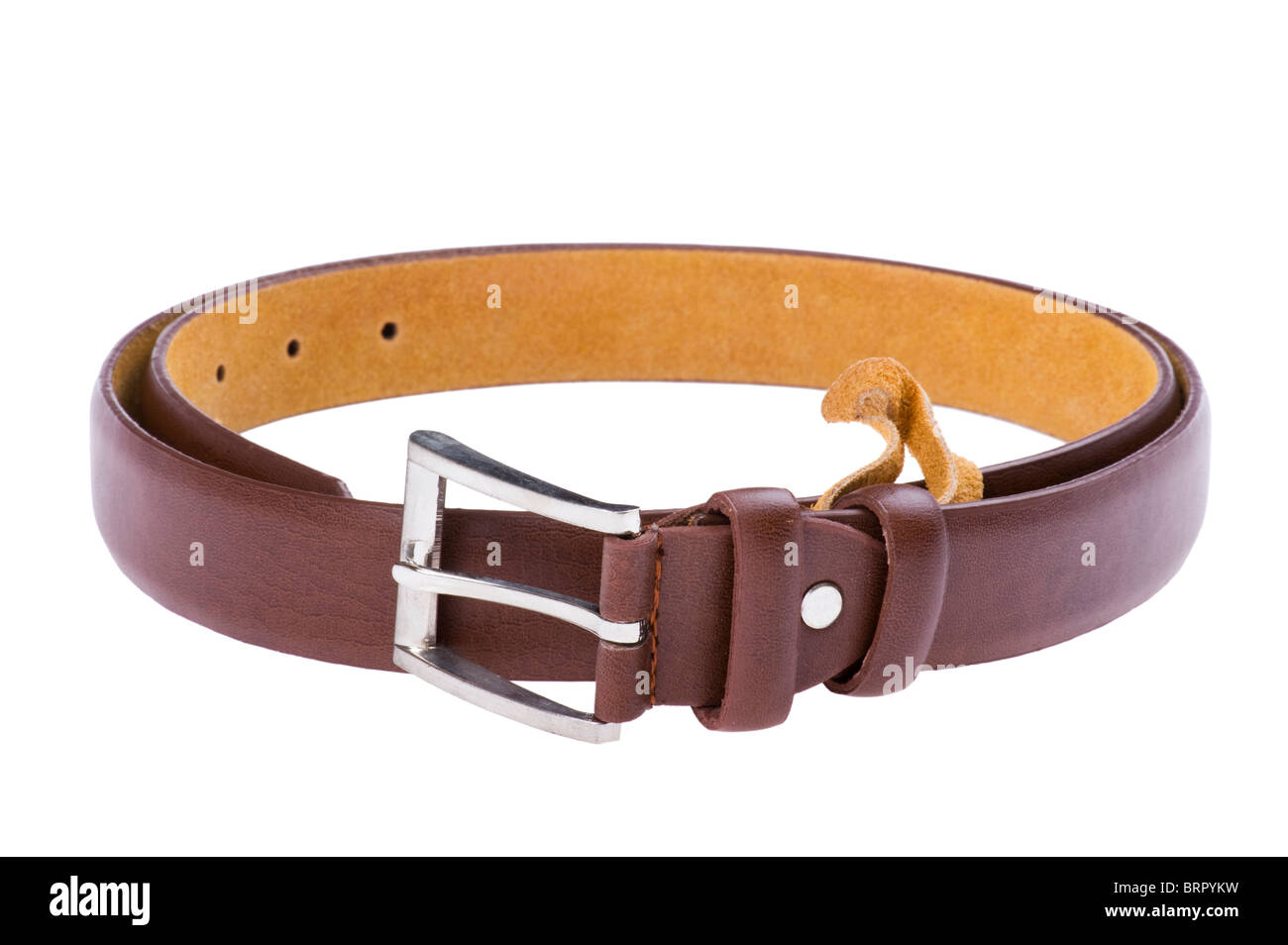 object on white - leather belt close up Stock Photo - Alamy