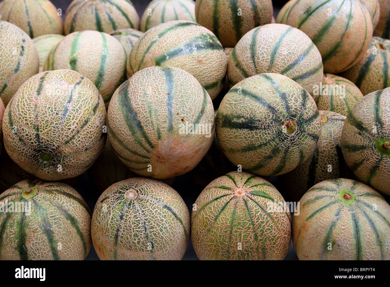 Cantaloupe melon skin green hires stock photography and images Alamy