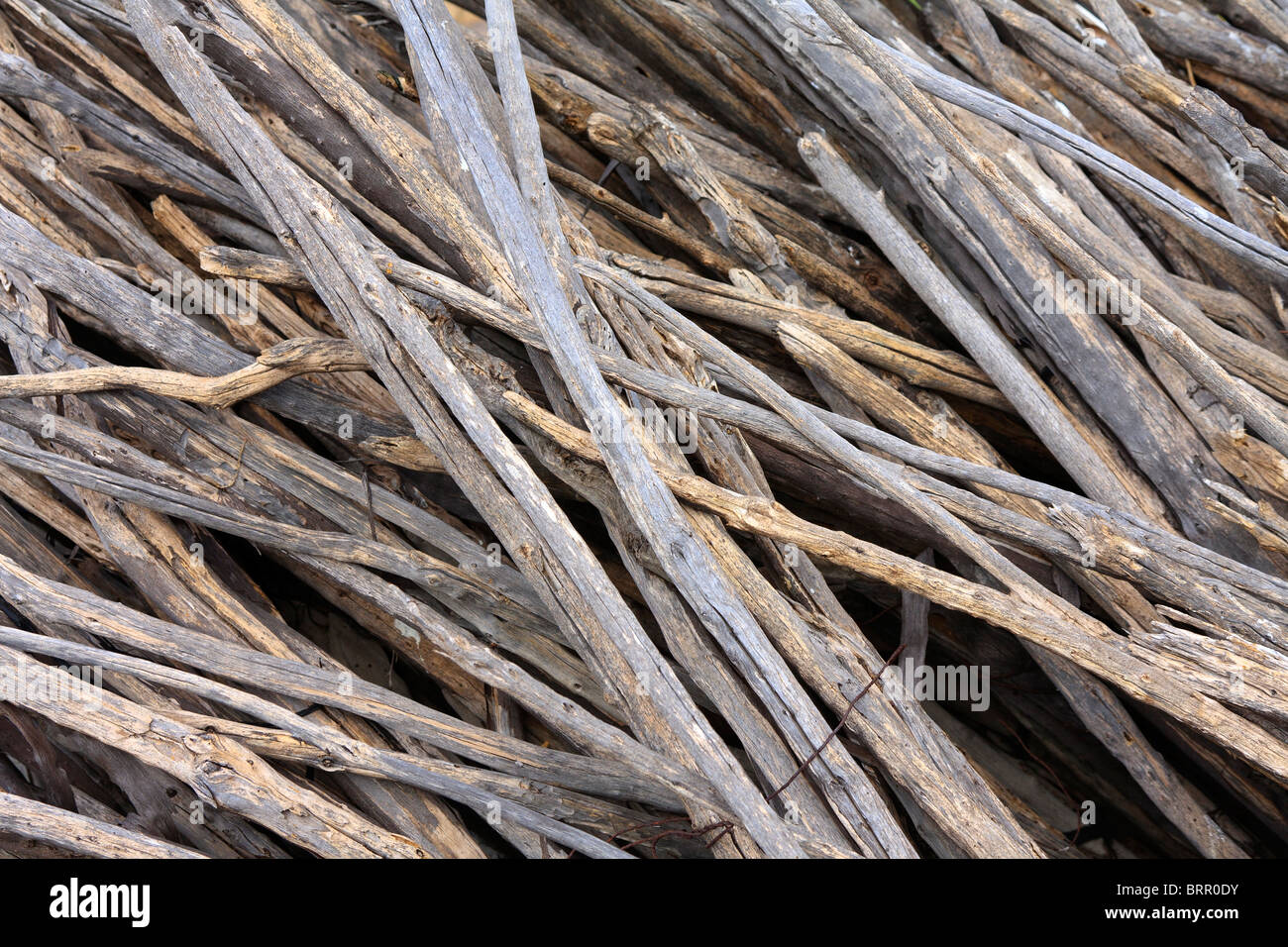 Pile Of Twigs Images – Browse 32,770 Stock Photos, Vectors, and Video