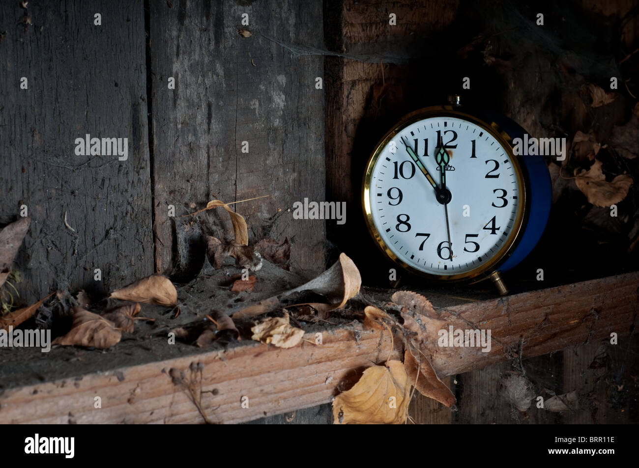 Past time concept - old alarm clock forgotten on a shelf with leaves and cobwebs. Stock Photo