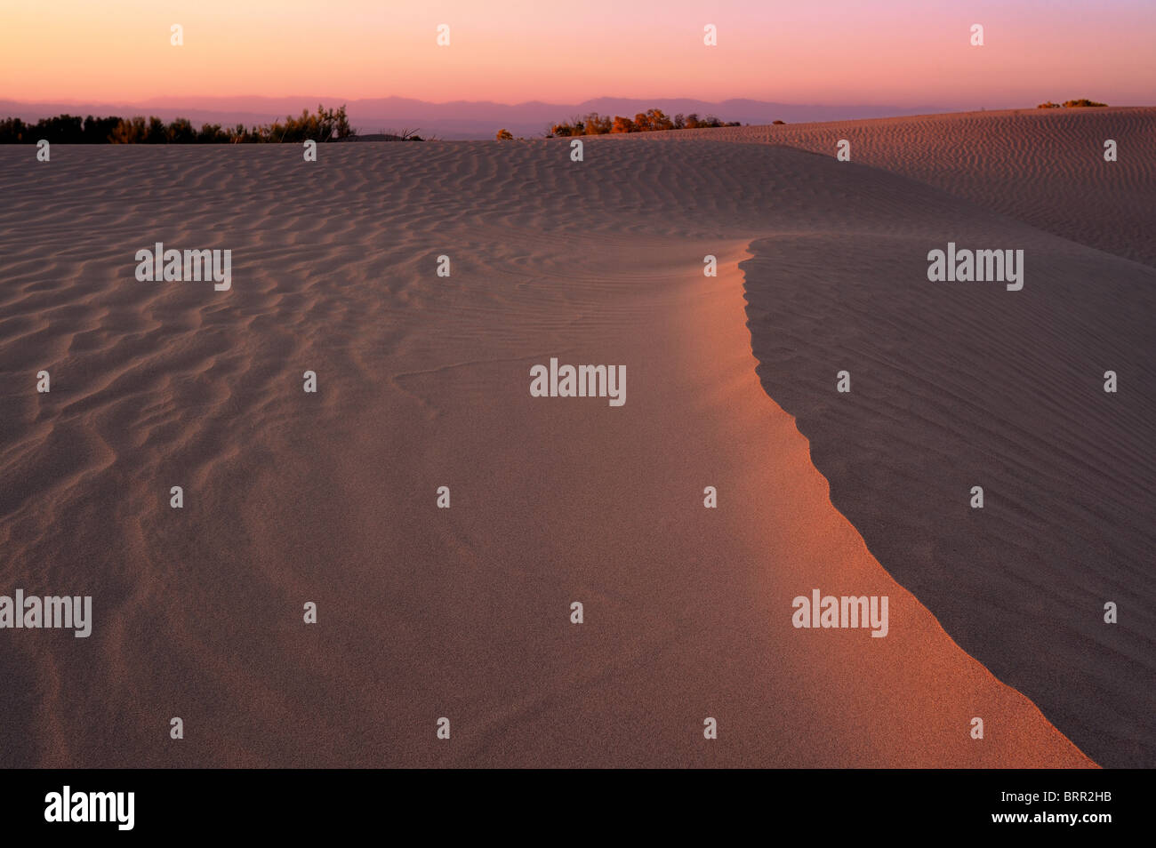 Sand Dunes In Southern Kazakhstan, Edge Of A Dune Lighted With Sun ...