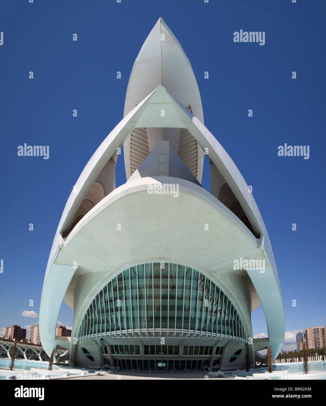 My Image 22