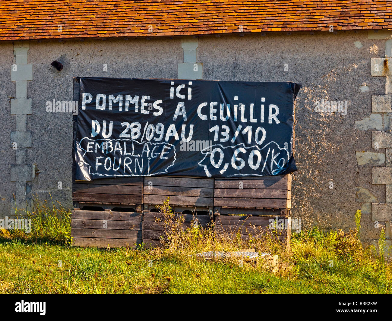 Hand-painted 'Pick your own apples' sign - Indre-et-Loire, France. Stock Photo
