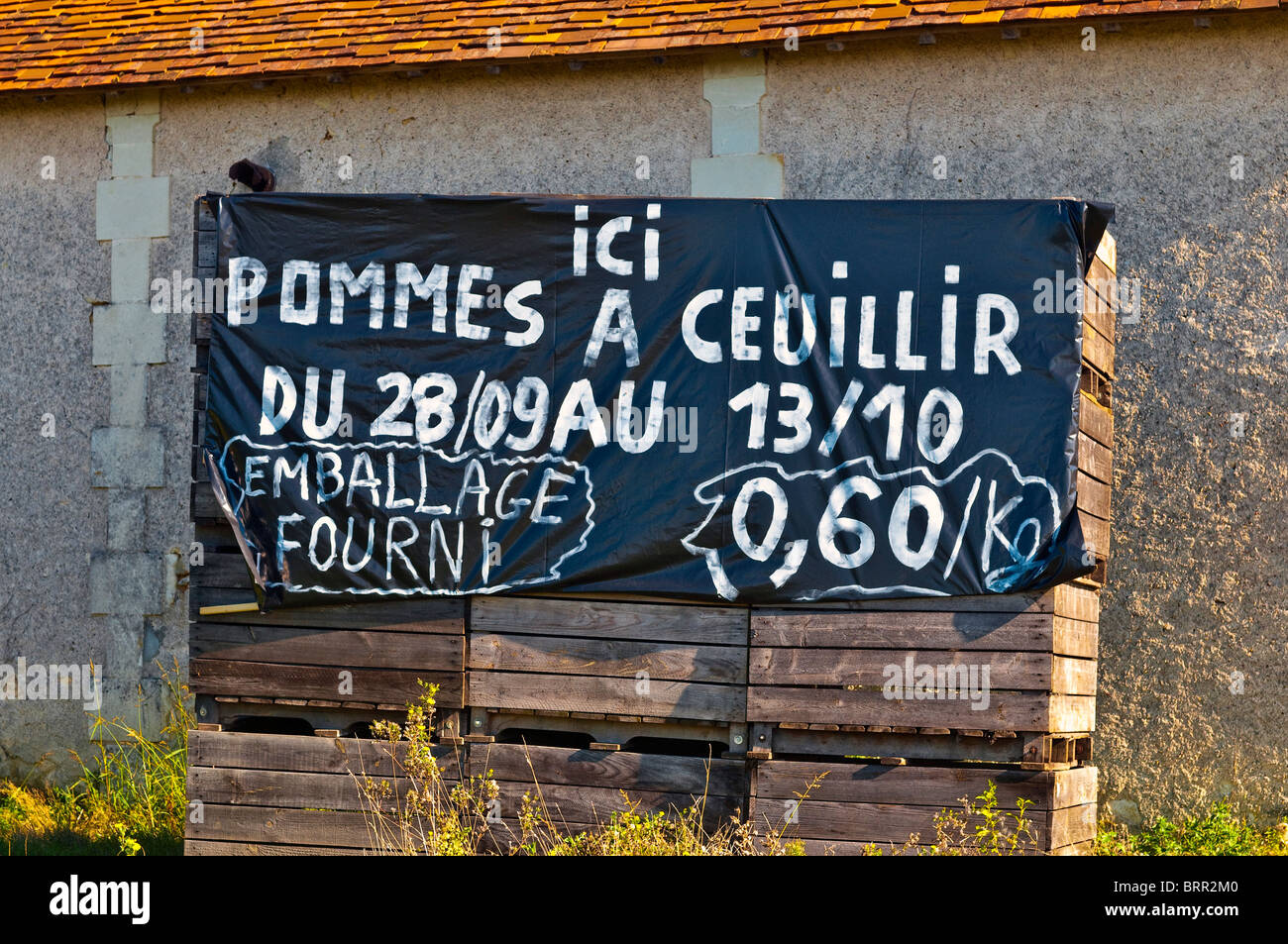 Hand-painted 'Pick your own apples' sign - Indre-et-Loire, France. Stock Photo