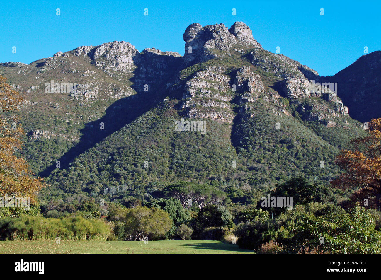 Cleft Peak towers above the Kirstenbosch gardens on Table Mountain Stock Photo