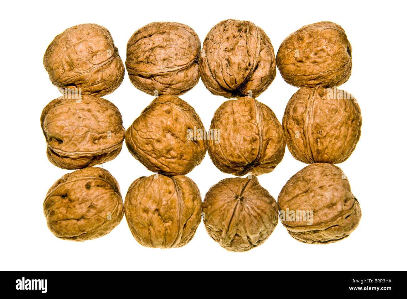 Studio shot of walnuts Stock Photo