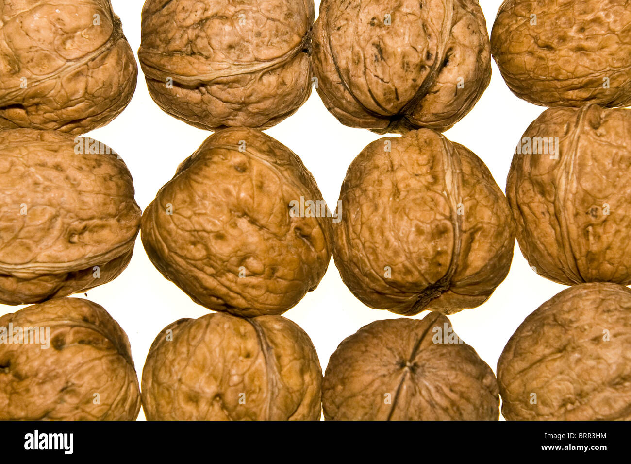 Close-up studio shot of walnuts Stock Photo