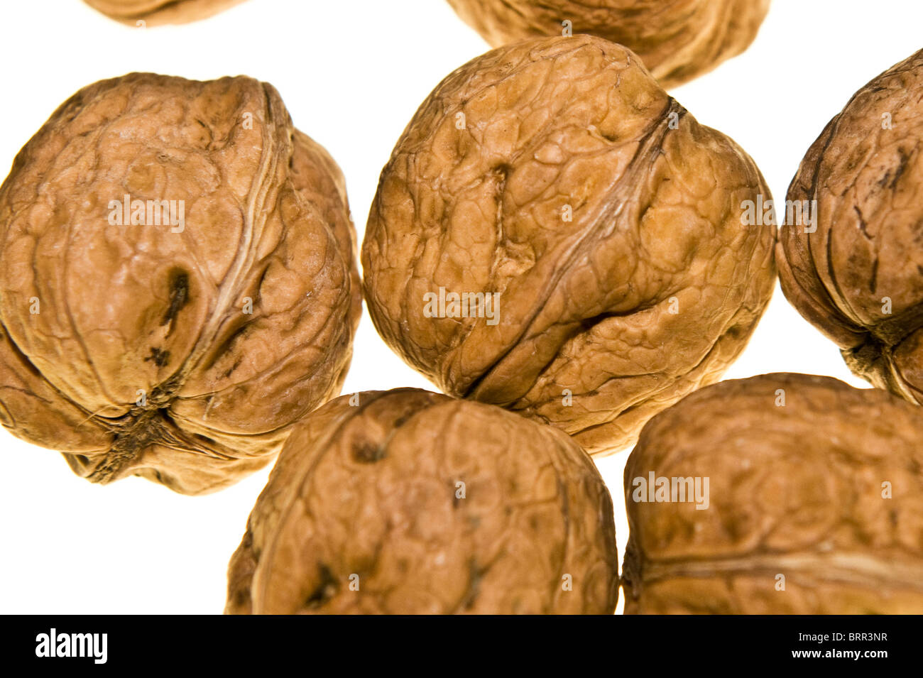 Studio shot of walnuts Stock Photo