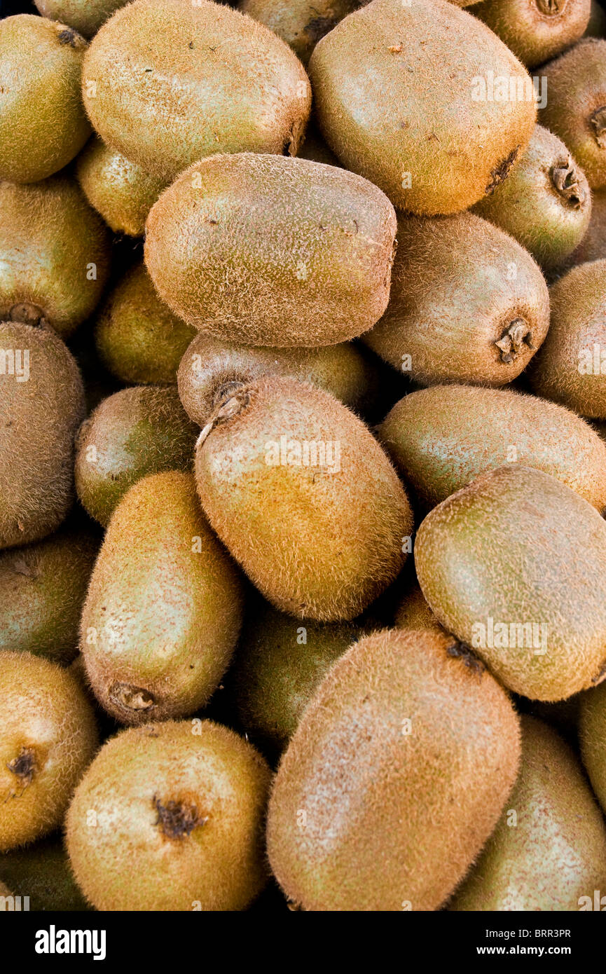 Kiwi fruit garden hi-res stock photography and images - Alamy