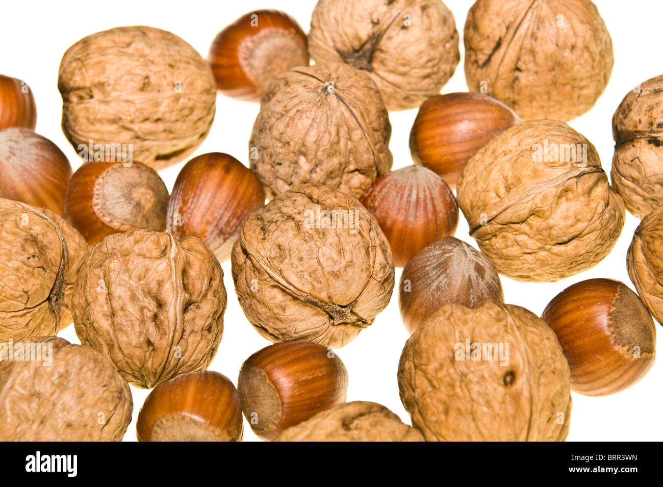 Walnuts and hazelnuts Stock Photo Alamy