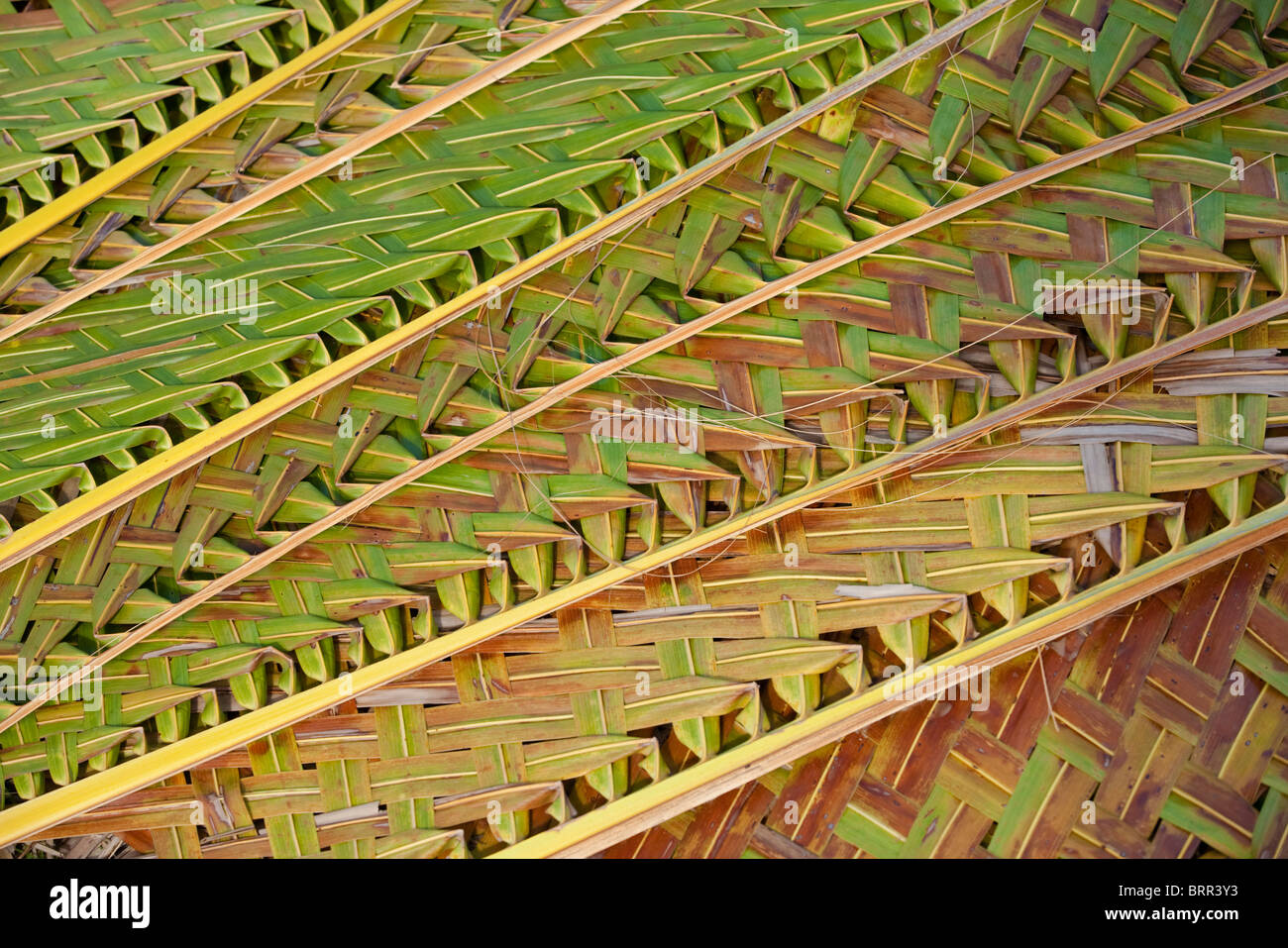 Closeup of plaited palm leaves used as roofing material Stock Photo