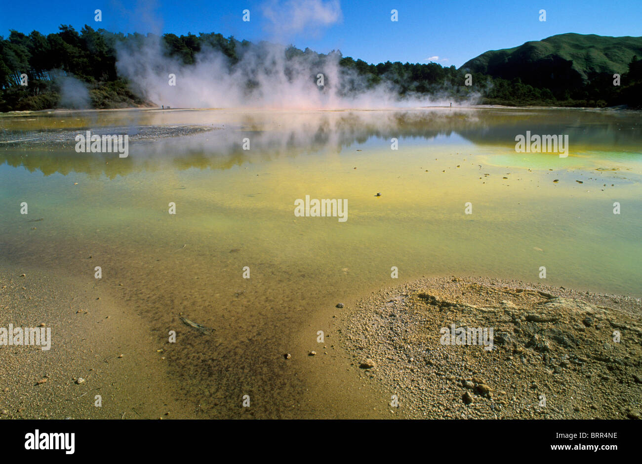 Steam over Rotorua hot spring pool Stock Photo