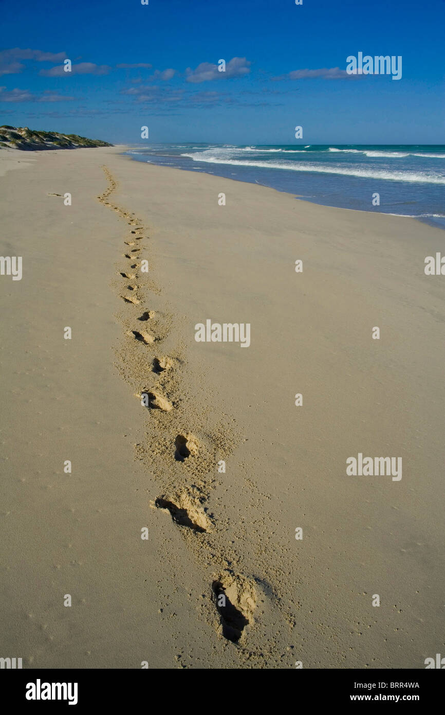 Footsteps on the beach near De Mond Nature Reserve Stock Photo
