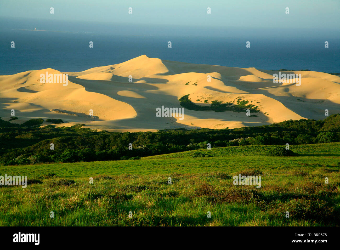 Sand dunes, Woody Cape section of Addo Elephant National Park Stock Photo