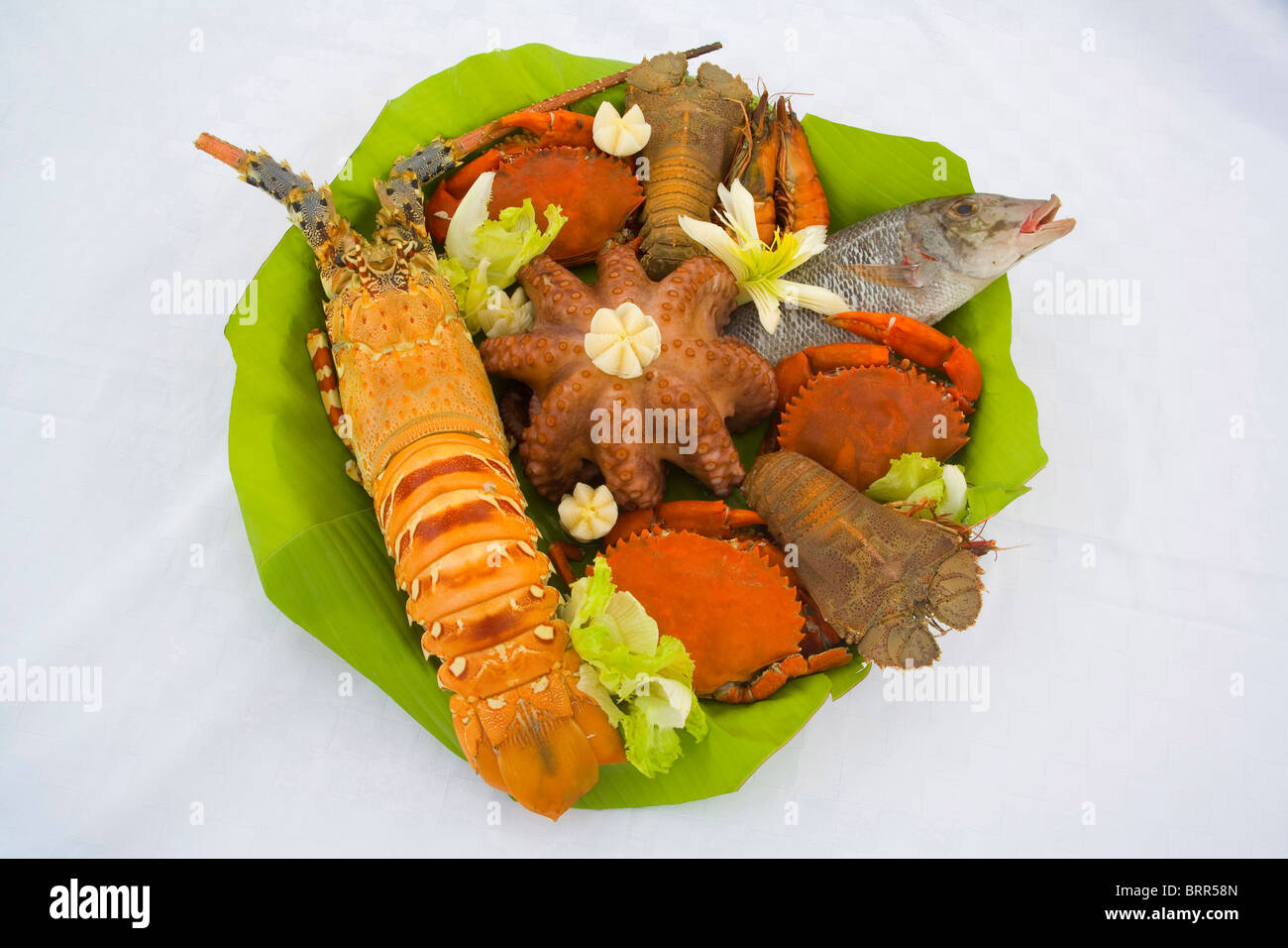 Fresh Fish Plate Presentation