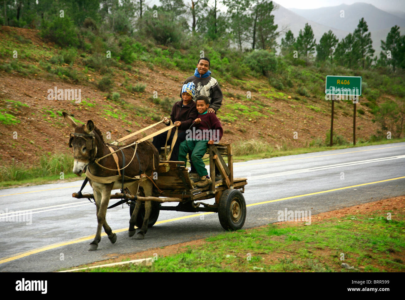 Donkey car hi-res stock photography and images - Alamy