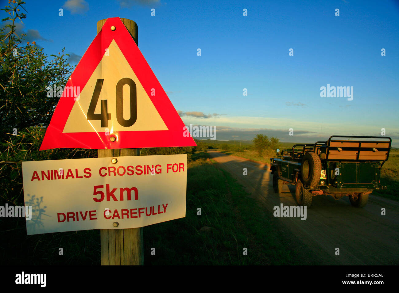 Speed limit sign in Addo Elephant National Park Stock Photo