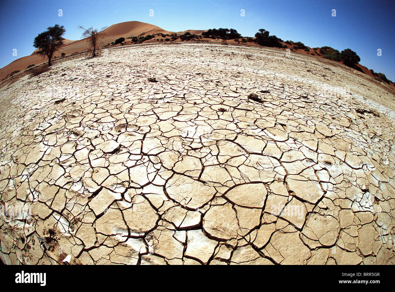 Cracked earth from dry desert conditions at Sossusvlei Stock Photo