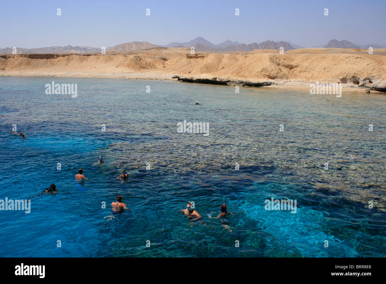 A group of day trippers snorkeling in the Egyptian National Marine Park of Ras Mohammed near Sharm El Sheikh Stock Photo
