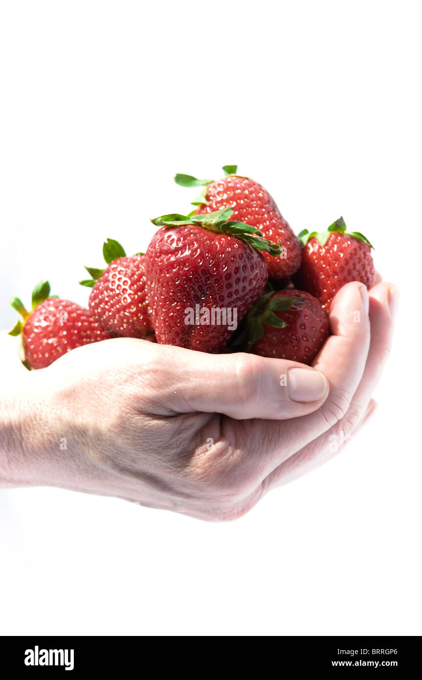 a handful of strawberries Stock Photo - Alamy