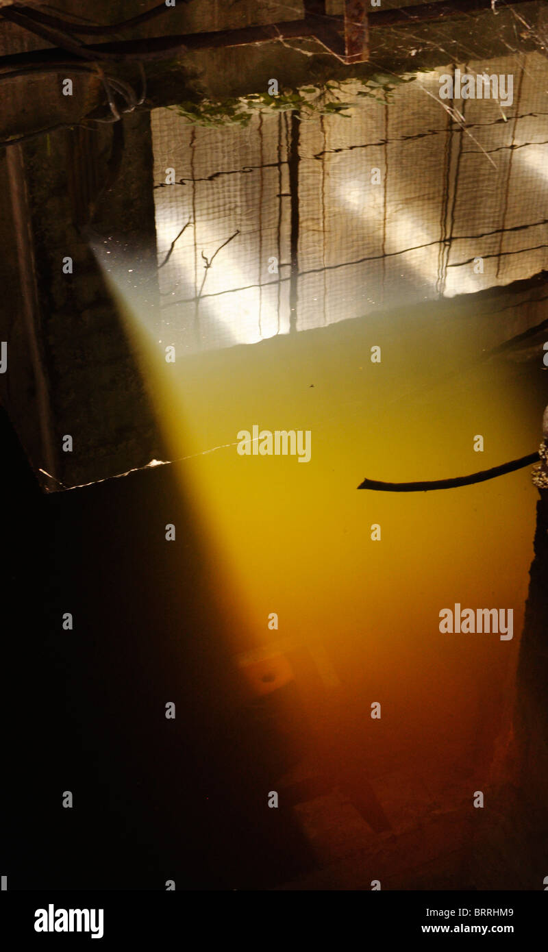 light reflection in an oily water pool Stock Photo Alamy