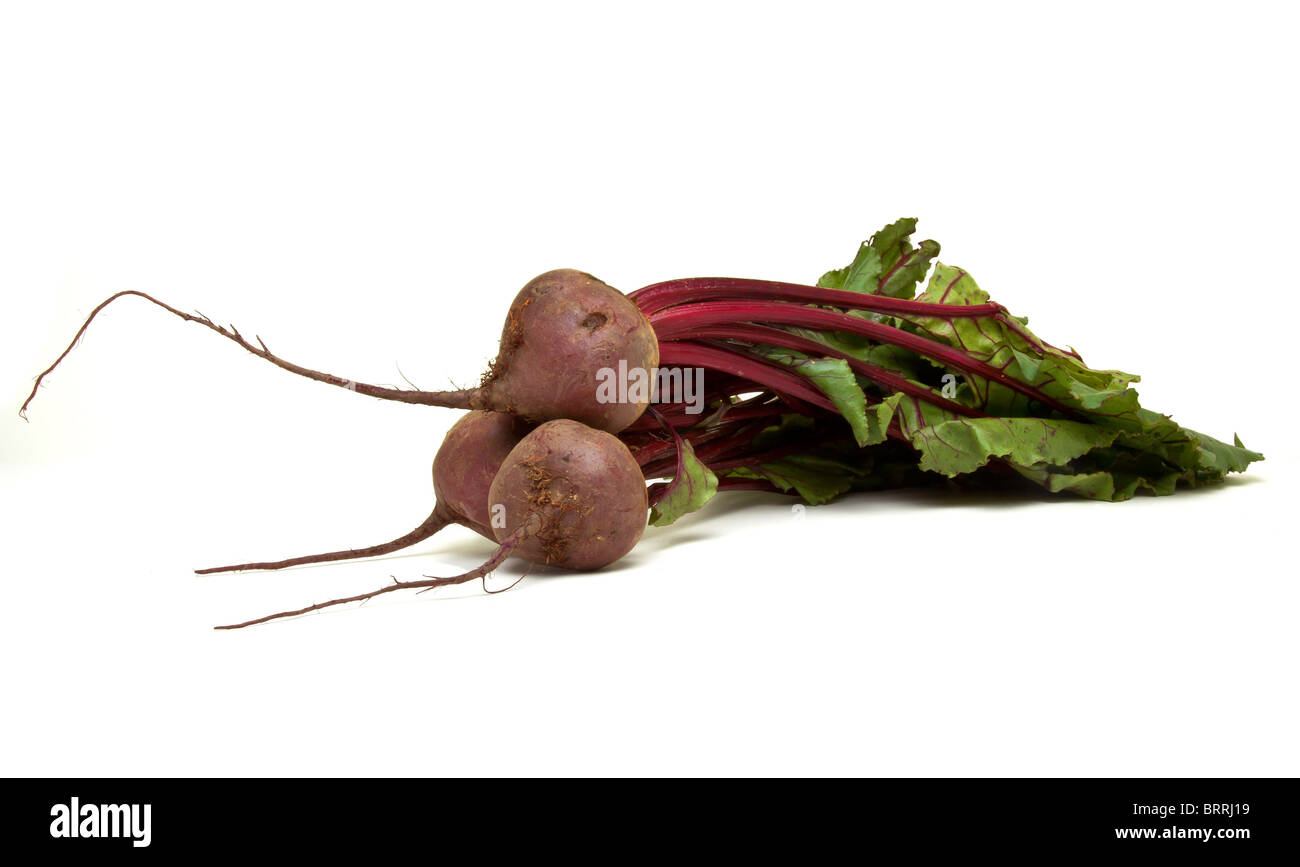Freshly picked beetroot with their roots and tops isolated against white. Stock Photo