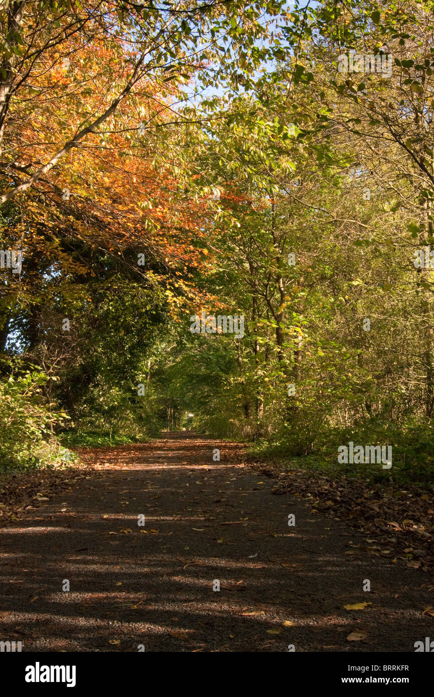 Road stretching to distance hi-res stock photography and images - Alamy