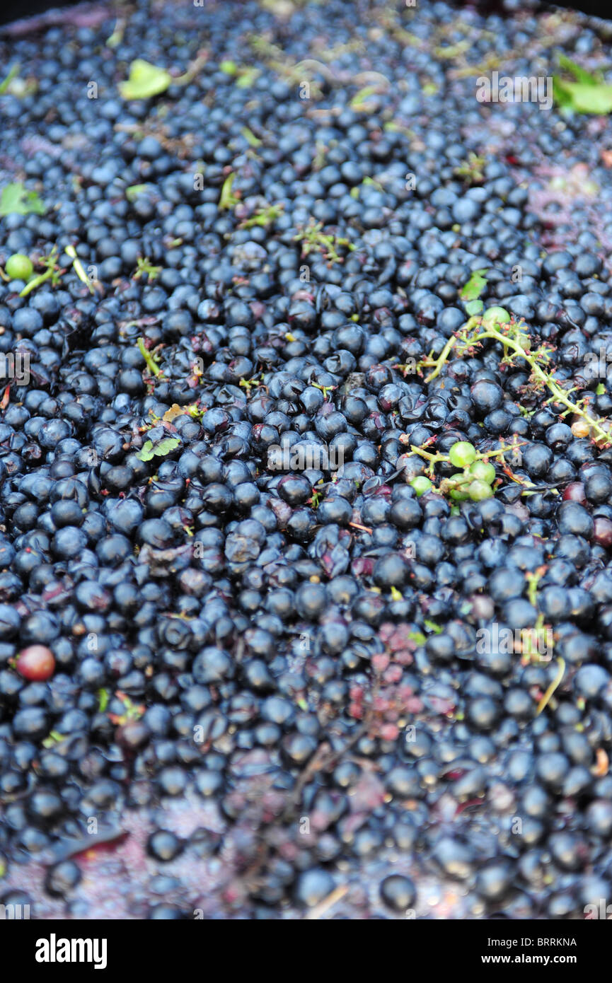 USA New York Canandaigua NY Finger Lakes Region winery wine making