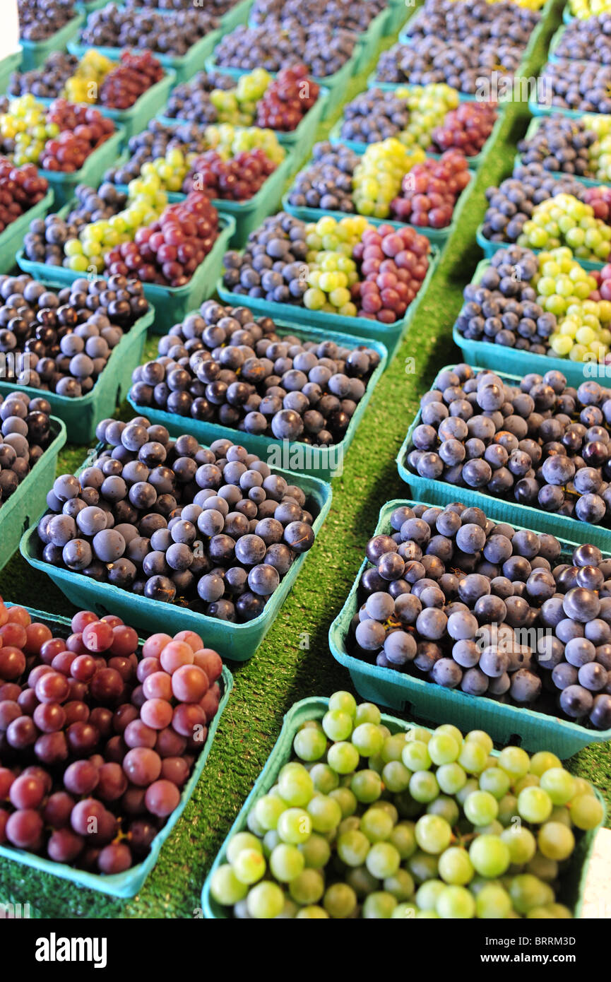 USA New York Naples NY a variety of table grapes grown locally at a produce stand - Finger Lakes Region Canandaigua Lake Stock Photo