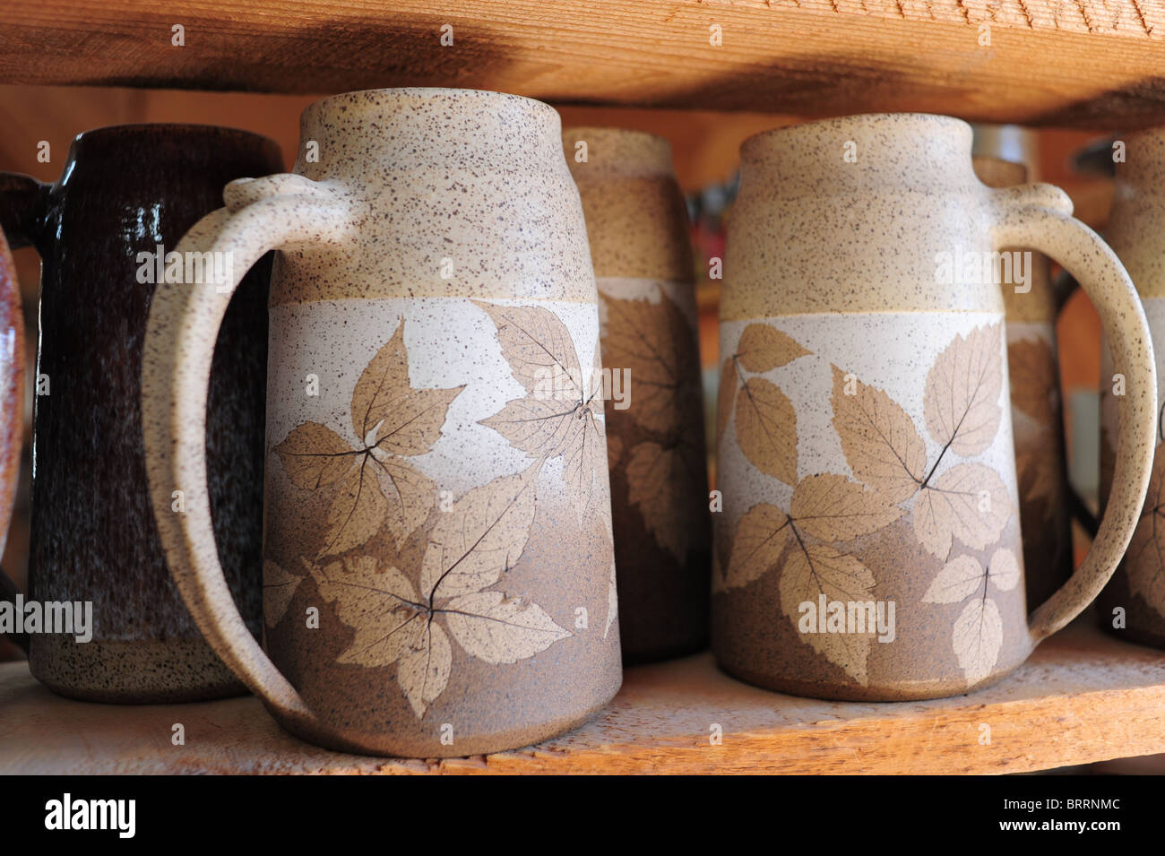 USA New York Bloomfield NY Finger Lakes Region Wizard of Clay